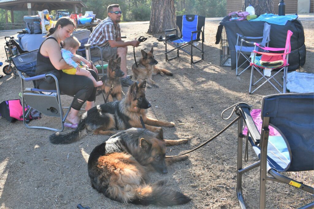 Our son Travis, his wife Autumn and our grandaughter Aviah enjoying time at the lake with some of our dogs. 2021