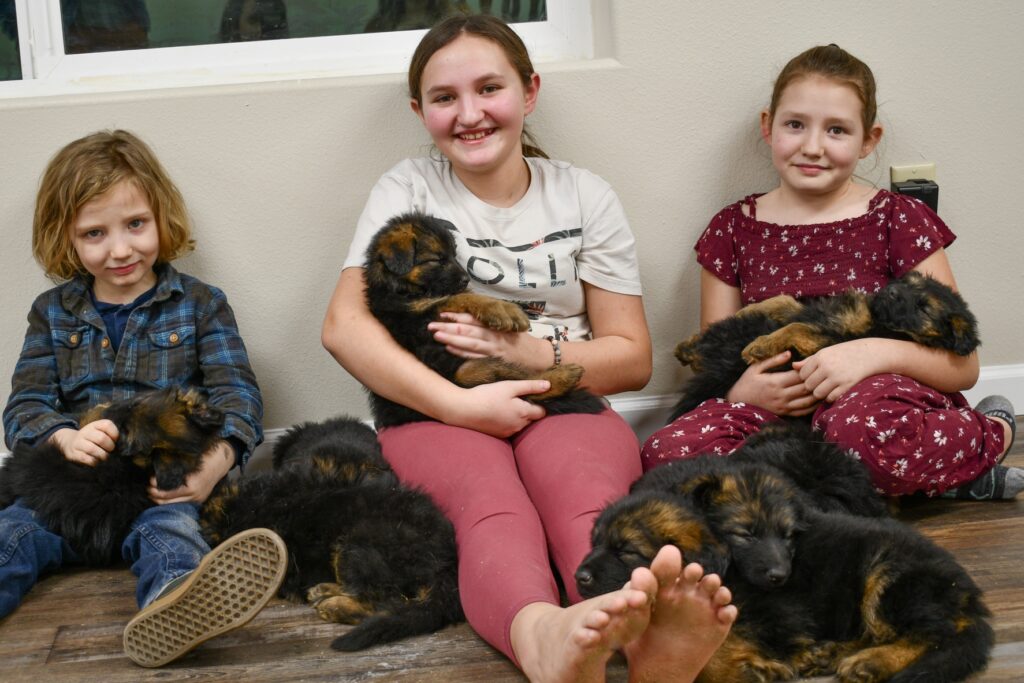 grandkids with puppies